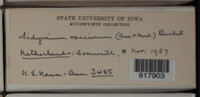 Image Associated With the Occurence